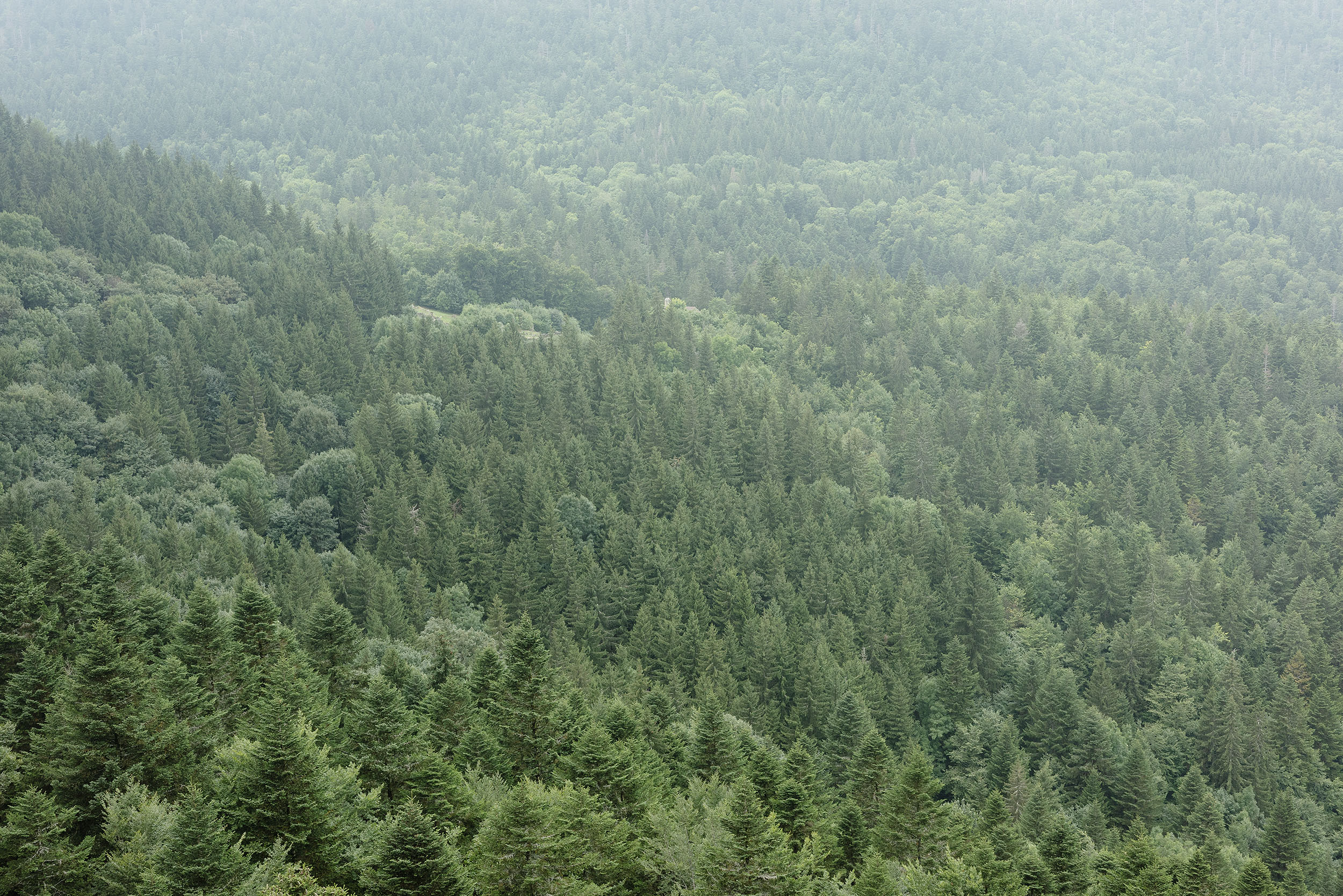 DEAMBULATION | Daniel MOULINET