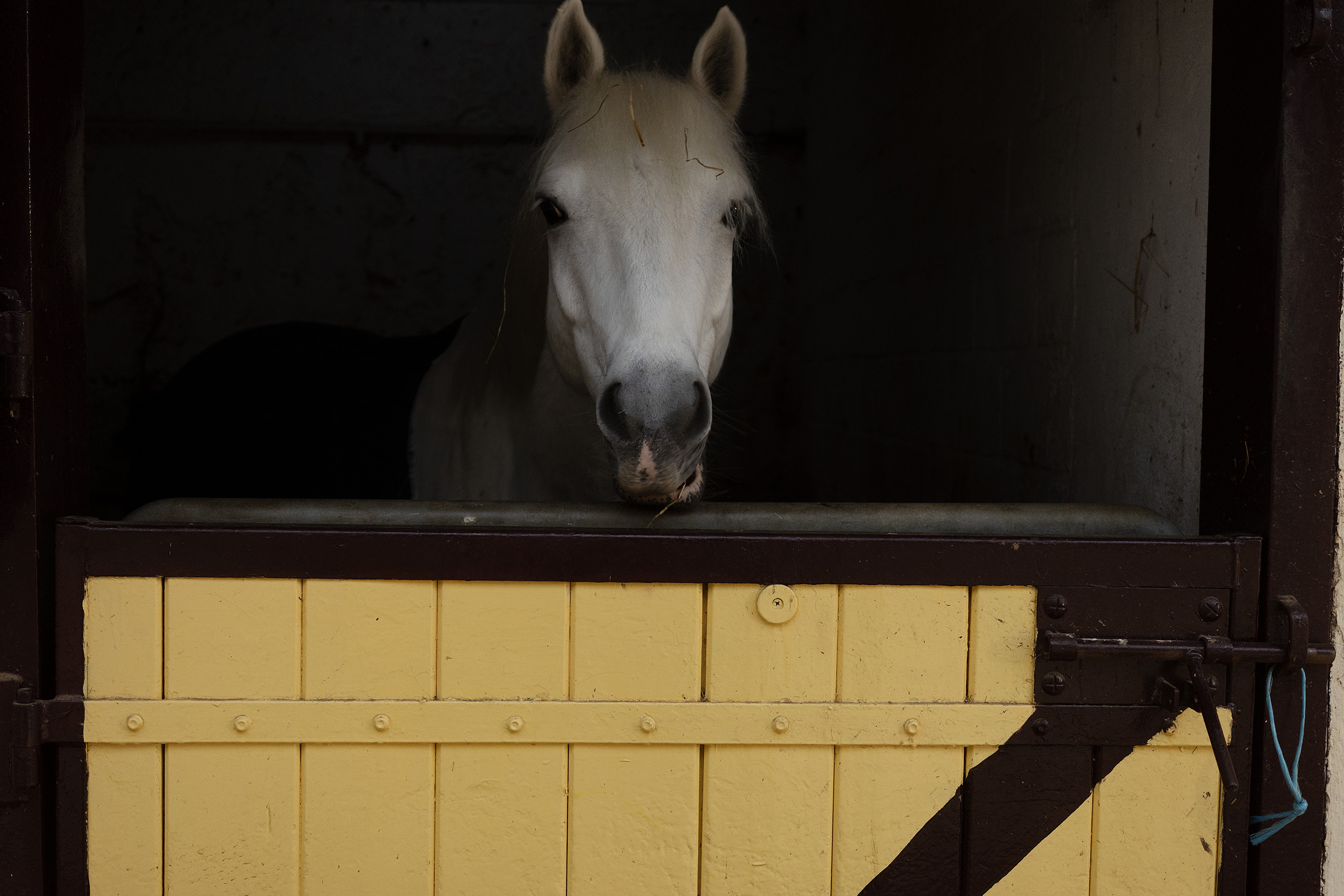 DEAMBULATION | Daniel MOULINET